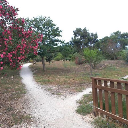 Studio Proche De Perpignan Peyrestortes Εξωτερικό φωτογραφία