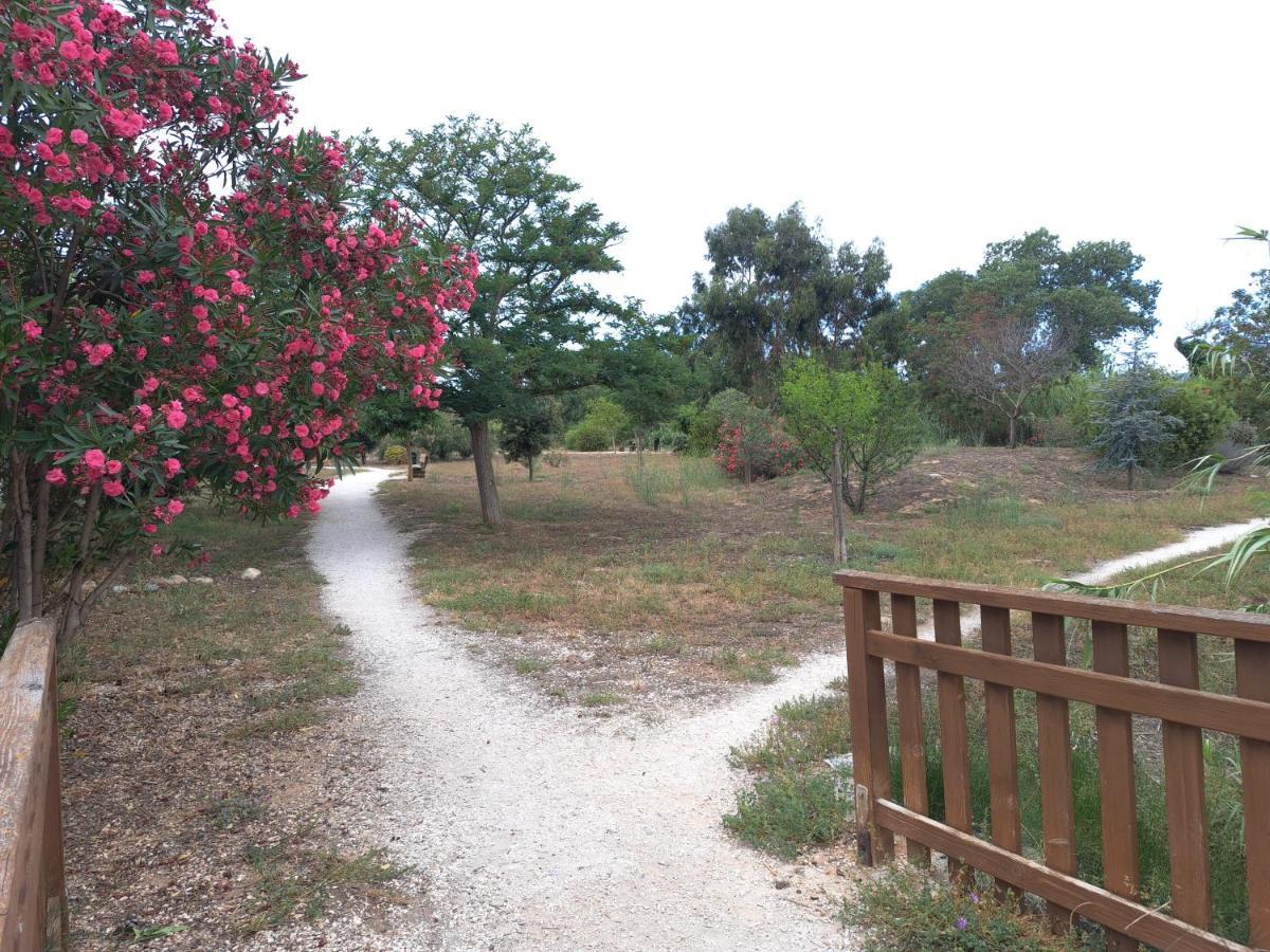 Studio Proche De Perpignan Peyrestortes Εξωτερικό φωτογραφία